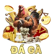 Đá Gà 789pp
